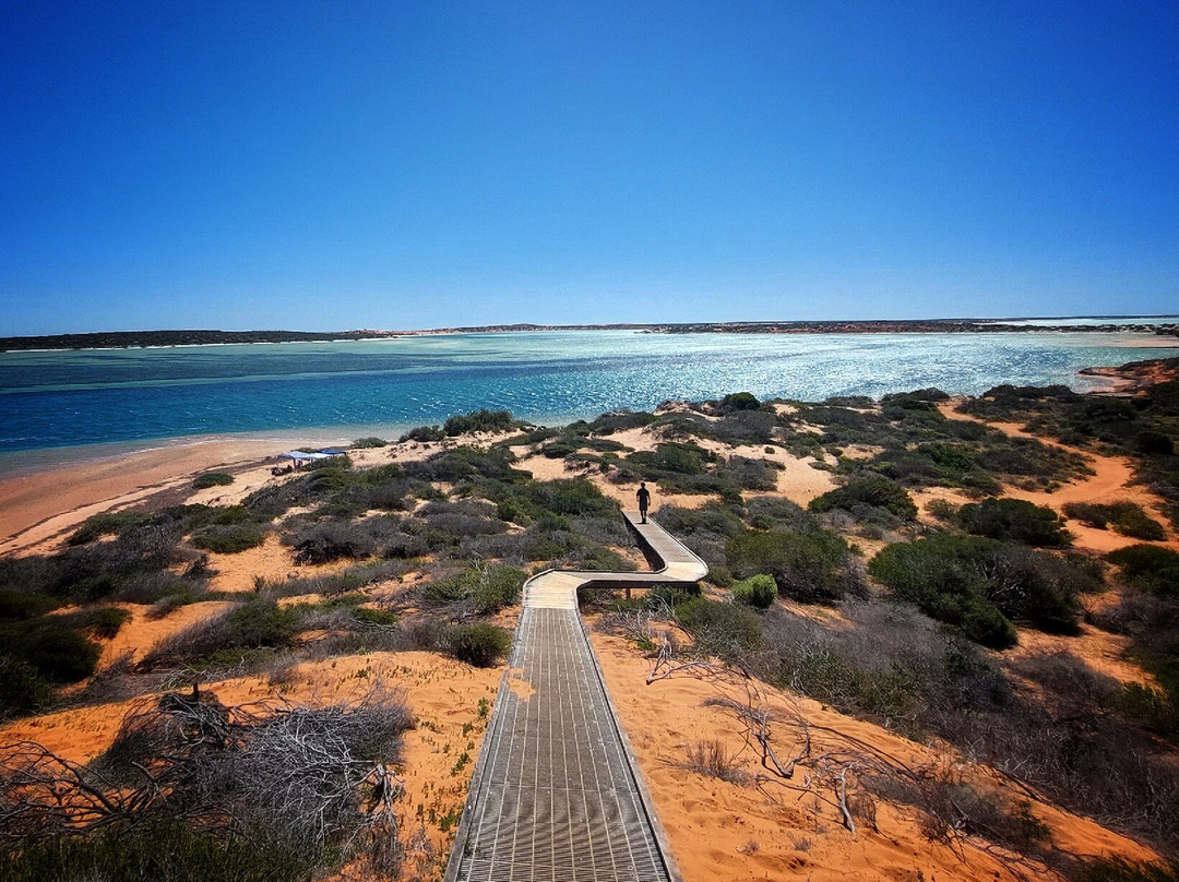 Shark Bay Coastal Tours-德纳姆必去景点
