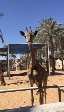 Emirates Park Zoo & Resort主图