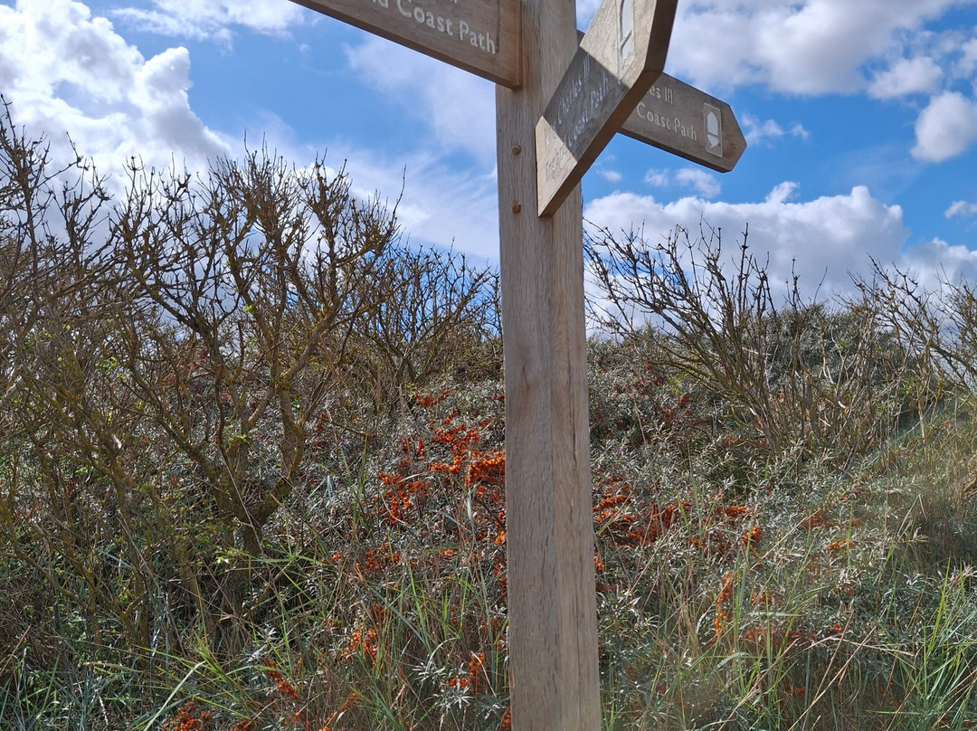 Donna Nook Nature Reserve-North Somercotes必去景点