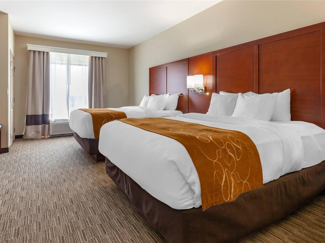 Winneconne酒店住宿-Comfort Suites Oshkosh