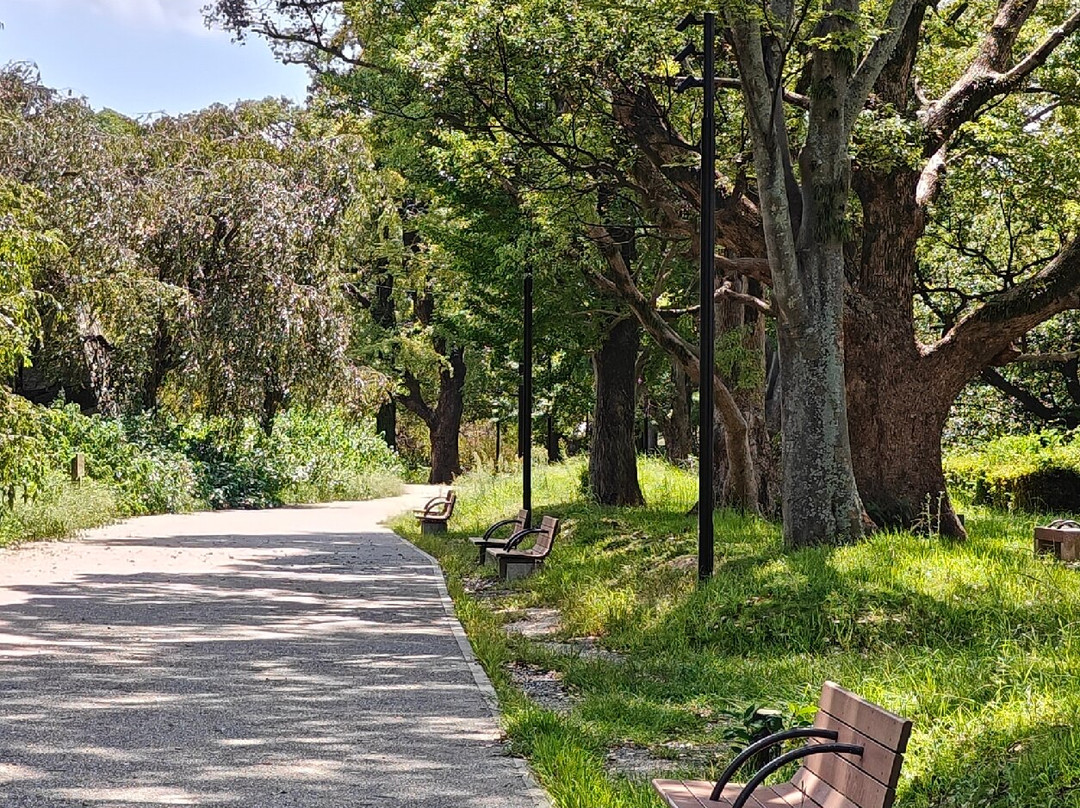 舞鹤公园-Chuo必去景点