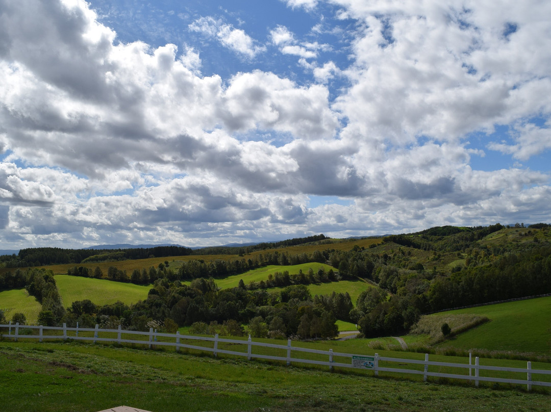 Suffolk Land Shibetsu-士别市必去景点