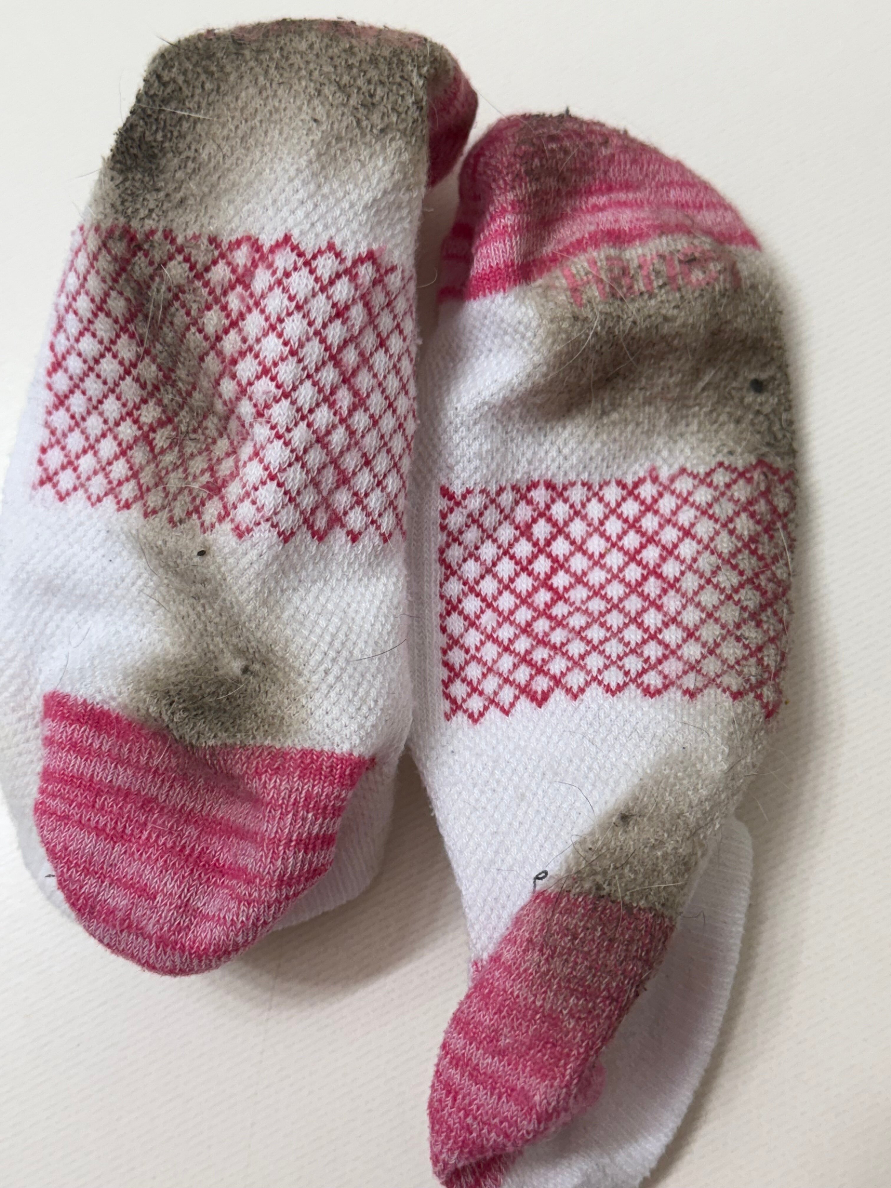 Thunderbird Inn-客卧