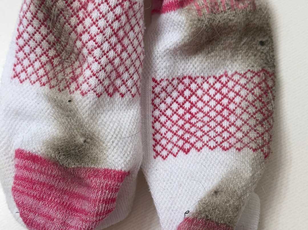 Thunderbird Inn主图