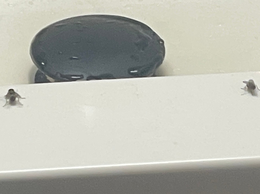 Chalet Inn - a Boutique Hotel主图