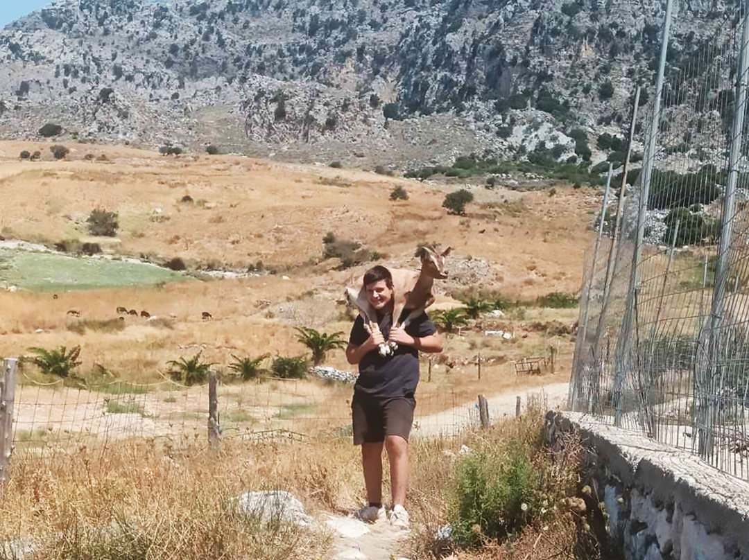 Rakidio-Sellia必去景点