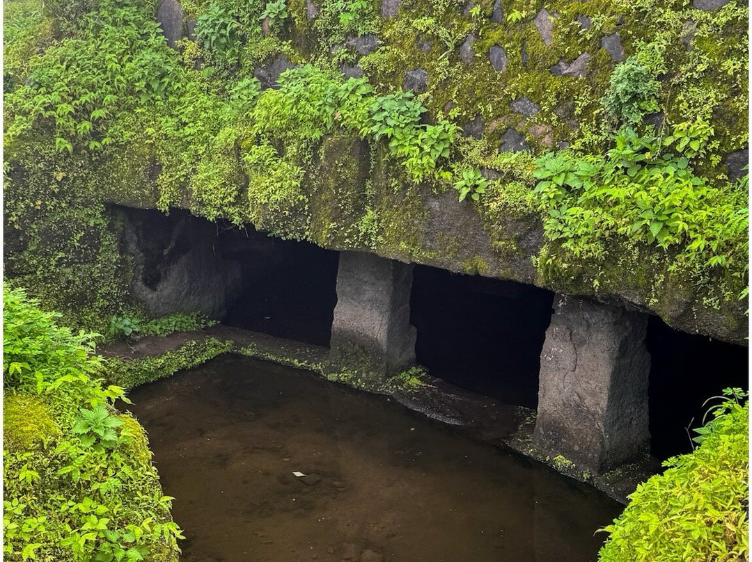 Tikona Fort-罗纳瓦拉必去景点