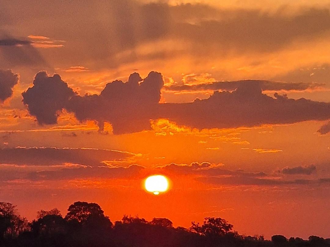 Pantanal Viagens e Turismo-大坎普市必去景点
