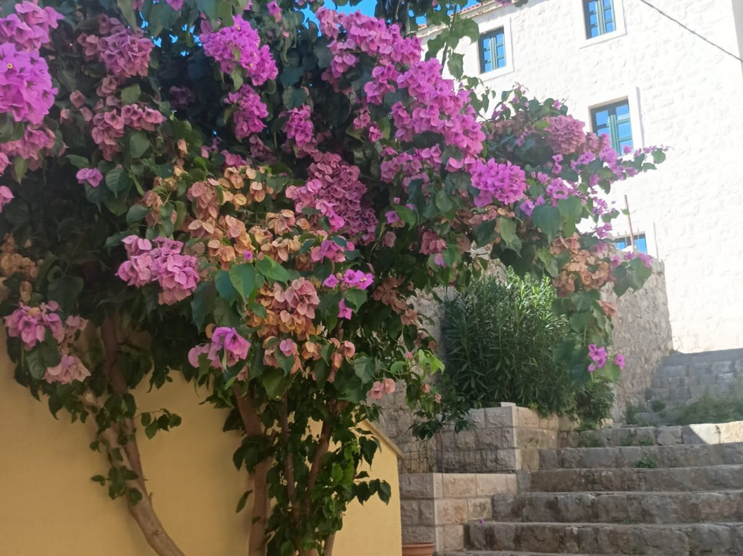 A.C.E. Adventure-Tivat必去景点