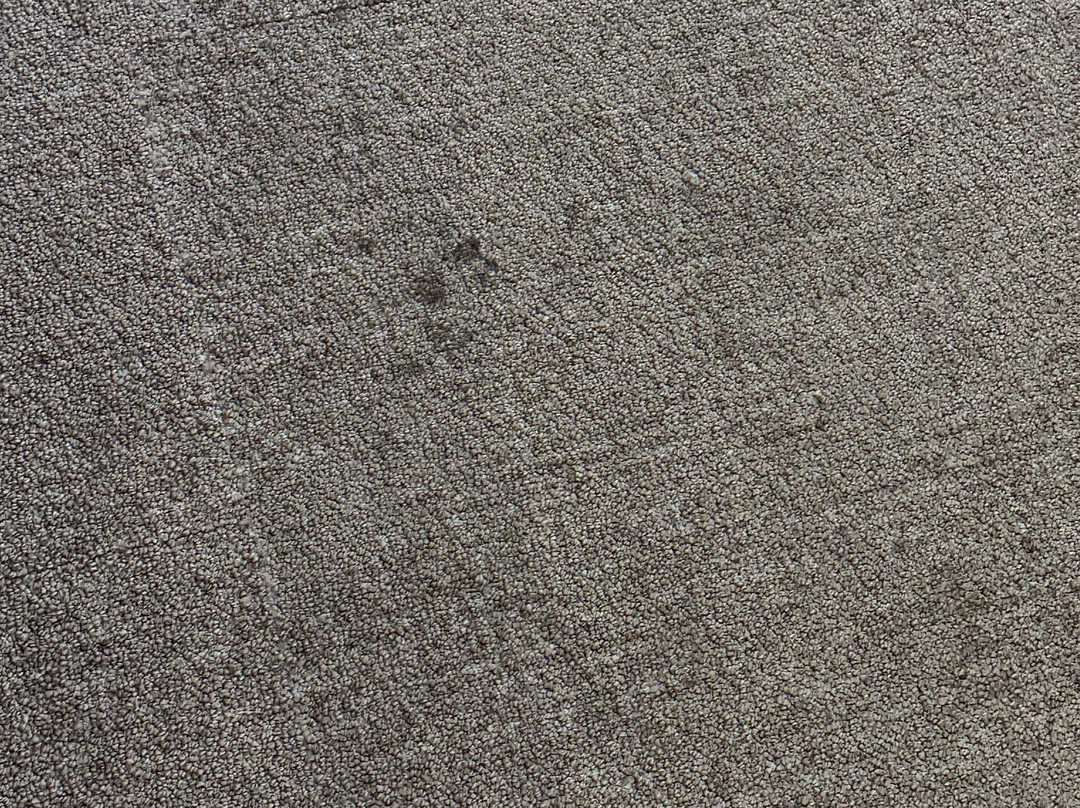 Home2 Suites by Hilton Lancaster主图