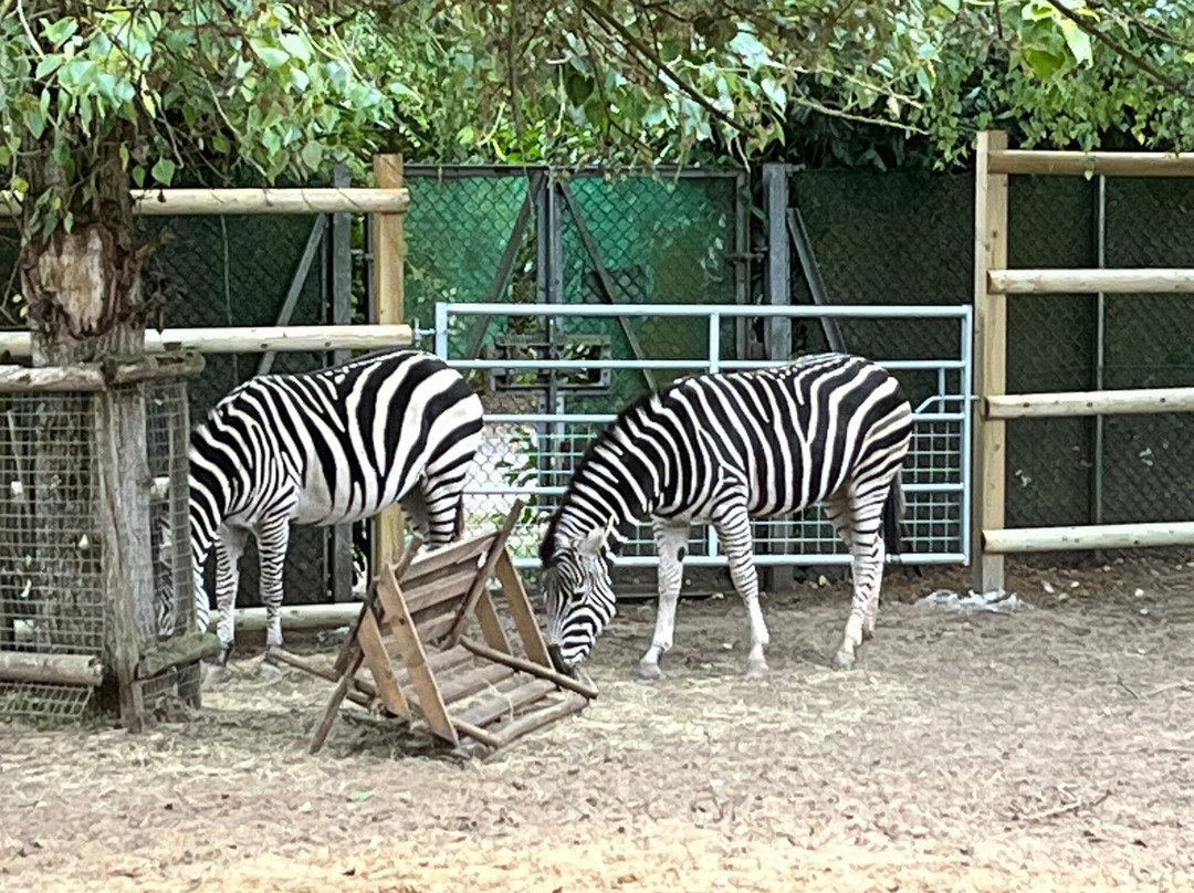 Call Of The Wild Zoo-South Woodham Ferrers必去景点