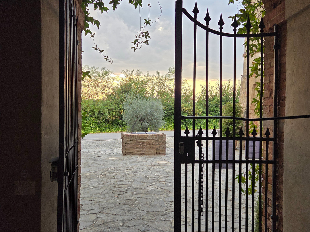 Into The Vineyard-温哥华必去景点