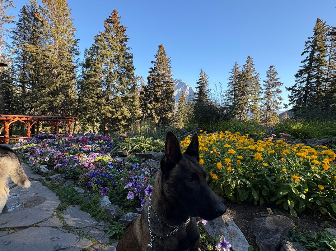 Cascade Gardens-班夫必去景点