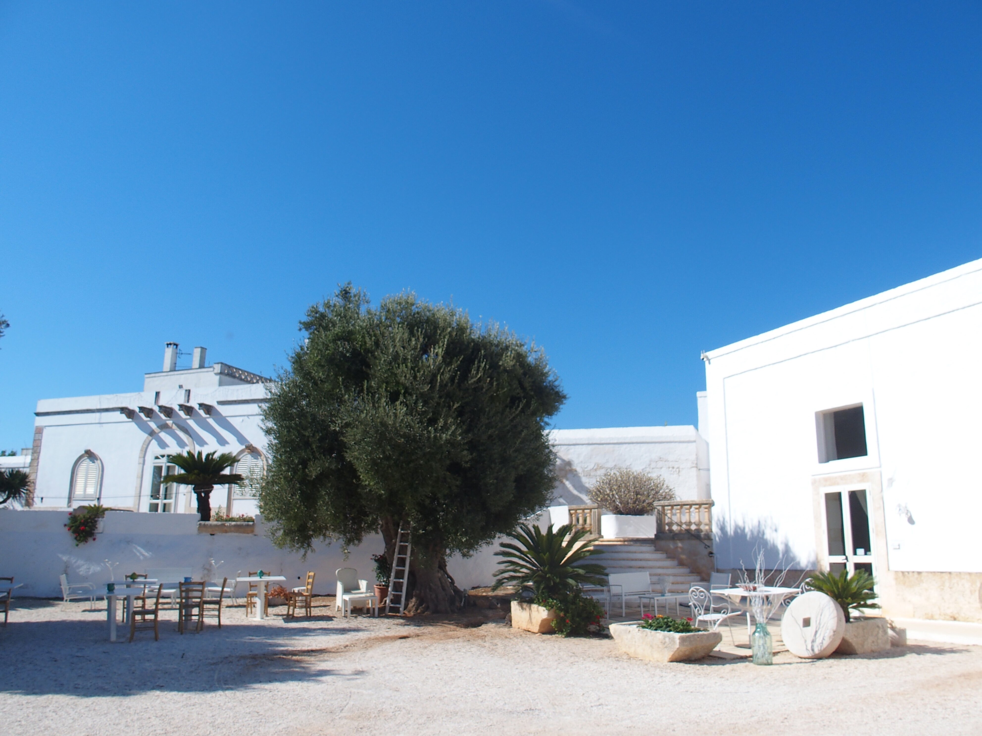 Masseria Rienzo-浴室