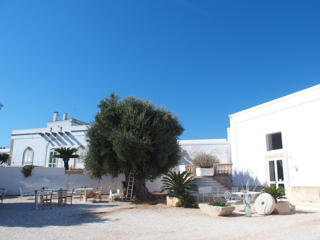 Masseria Rienzo主图