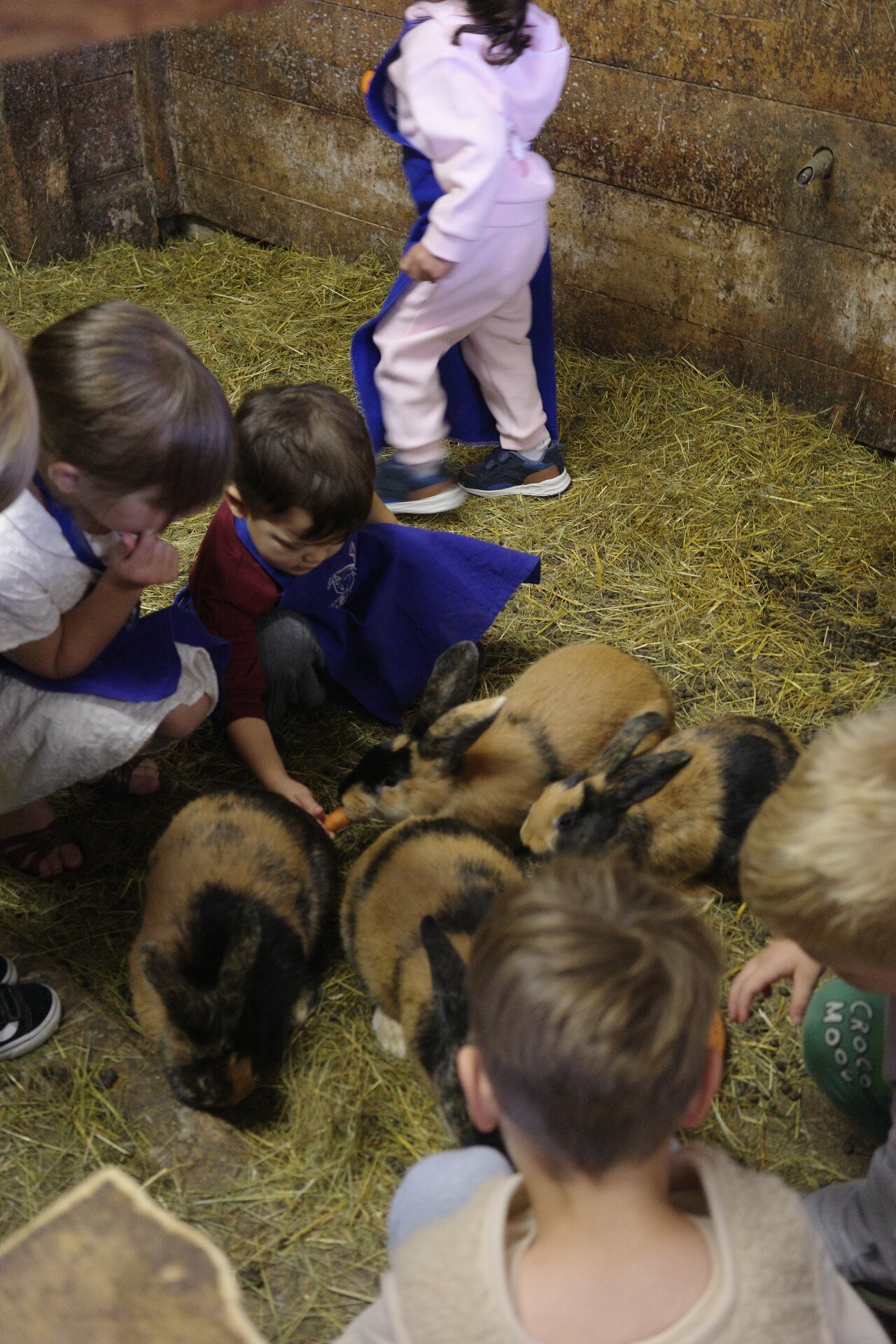 Familyhotel Sonnwies Dolomites-官方