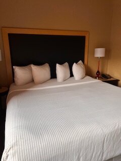Cambria Hotel Denver International Airport-客卧