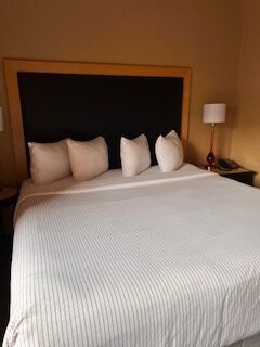 Cambria Hotel Denver International Airport主图