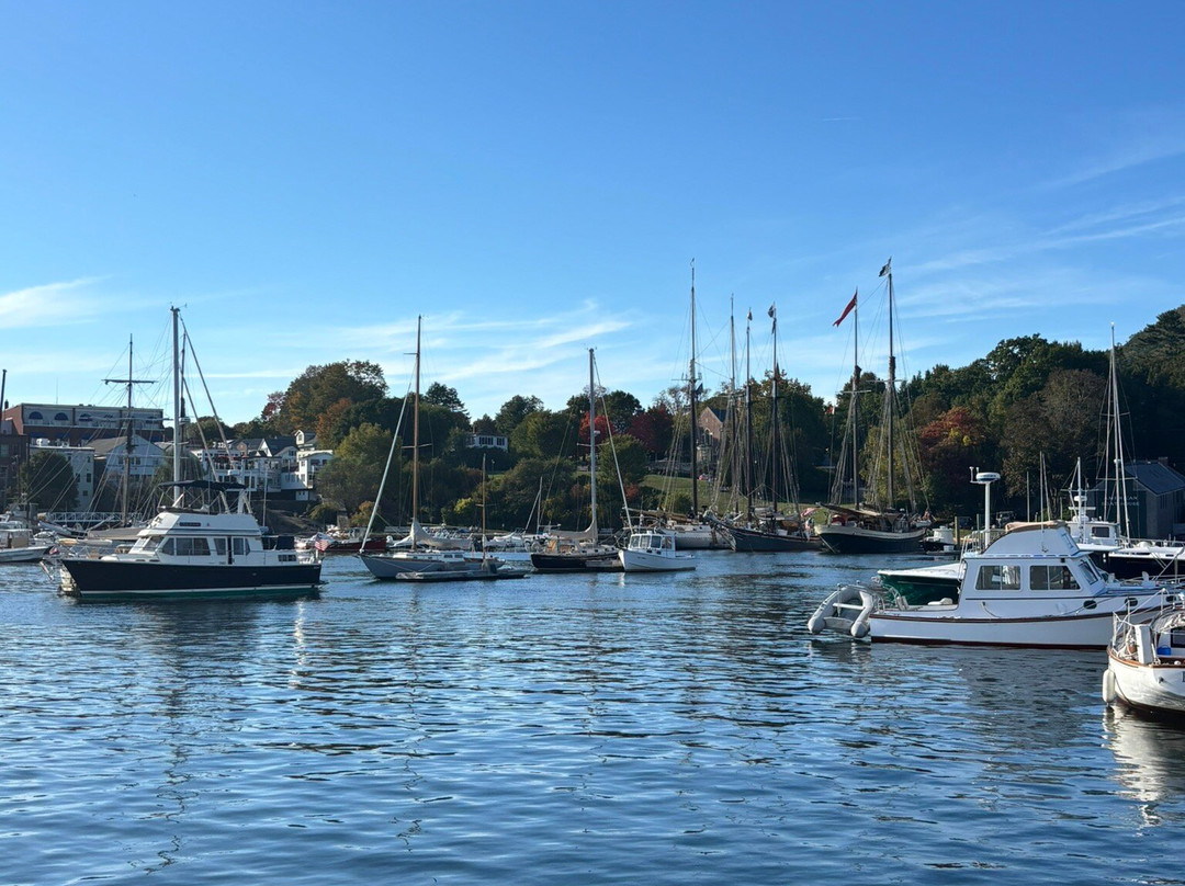 Belfast Harborwalk-贝尔法斯特必去景点