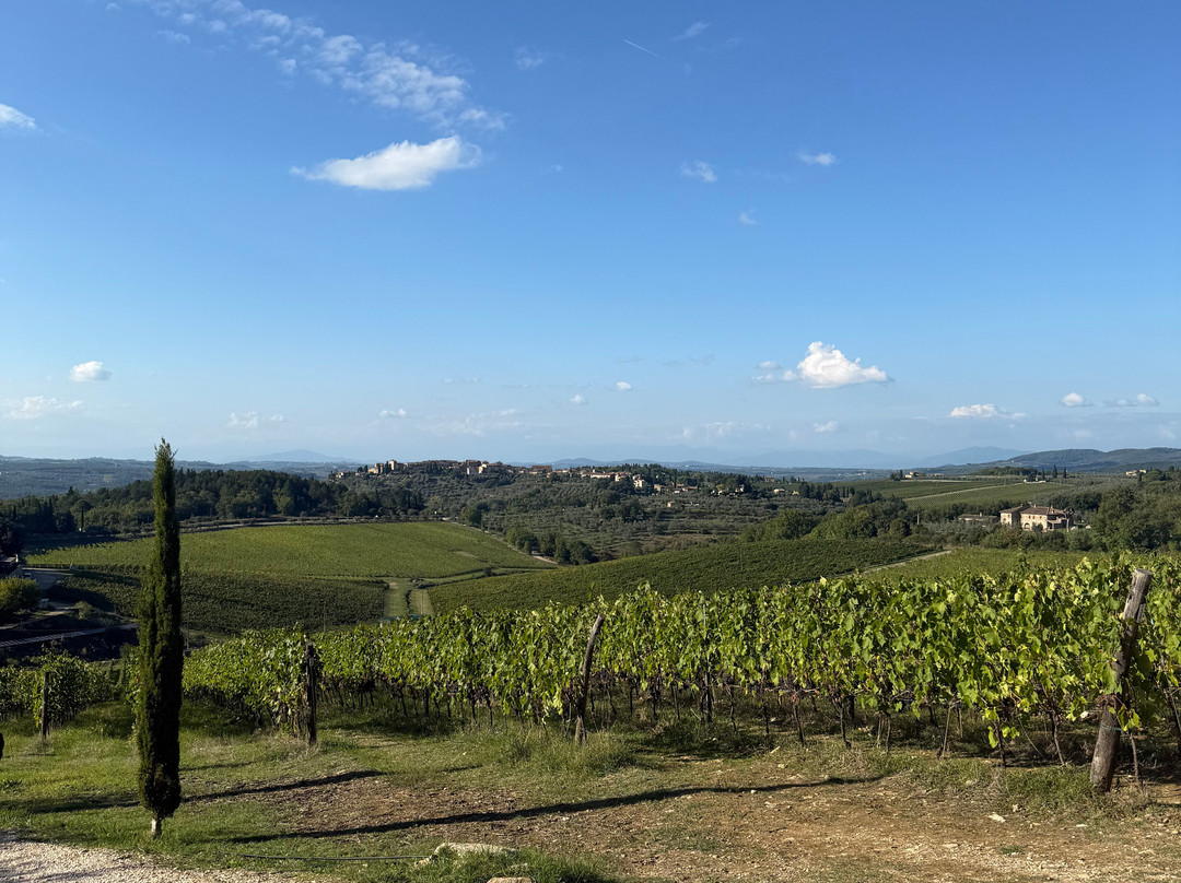 Casa Emma-San Donato in Poggio必去景点