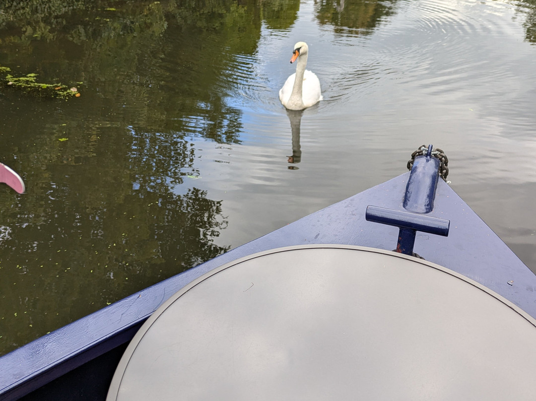 Ellerbeck Narrowboats-乔利必去景点
