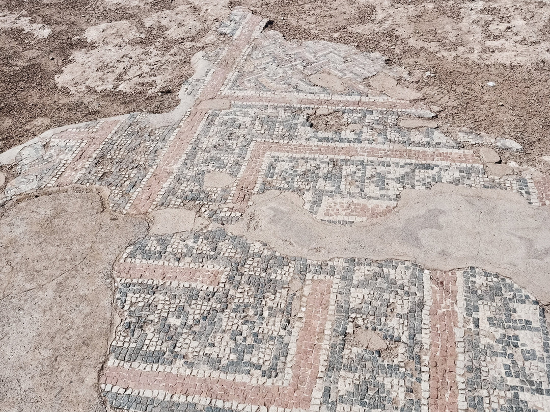 Ruines Romaines Tipaza-蒂帕萨必去景点