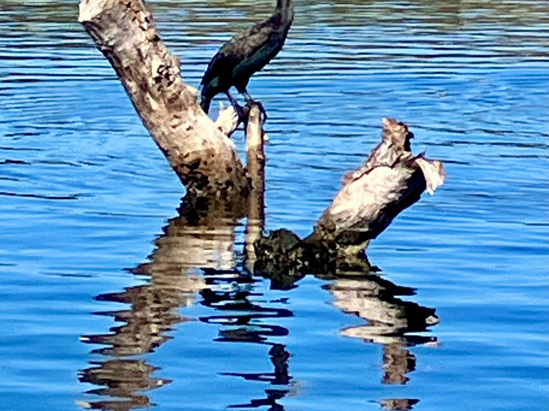 New Kayak Sardinia-Valledoria必去景点