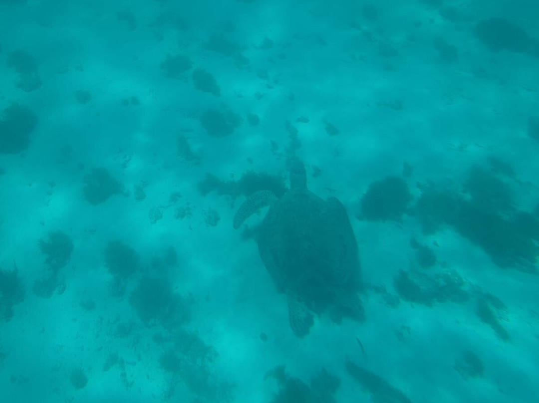 View Ningaloo-埃克斯茅斯必去景点
