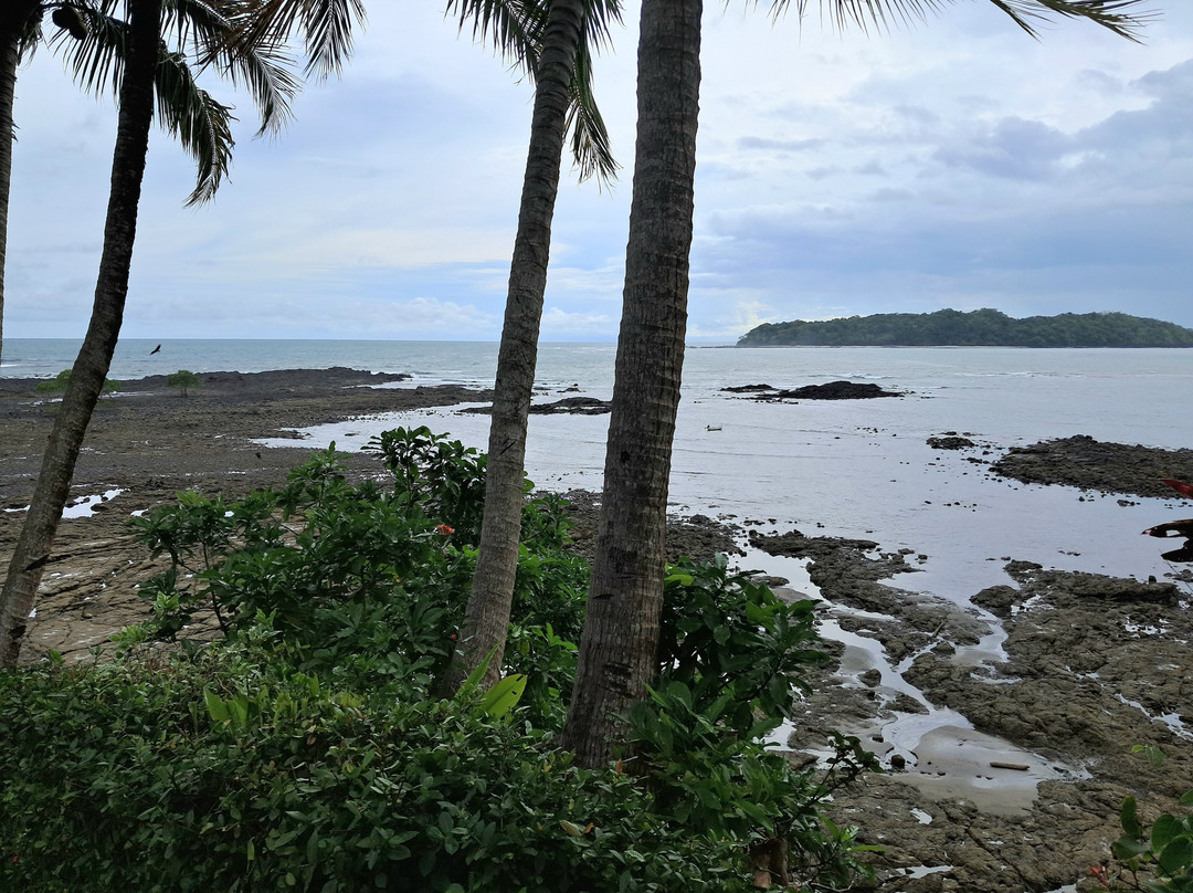 Vista Coiba Villas & Restaurant主图