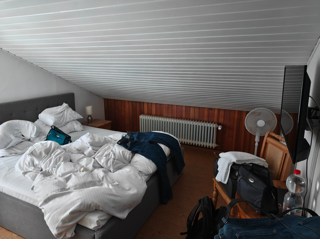 Landhaus VOR BURG ELTZ HOTEL - RESTAURANT主图