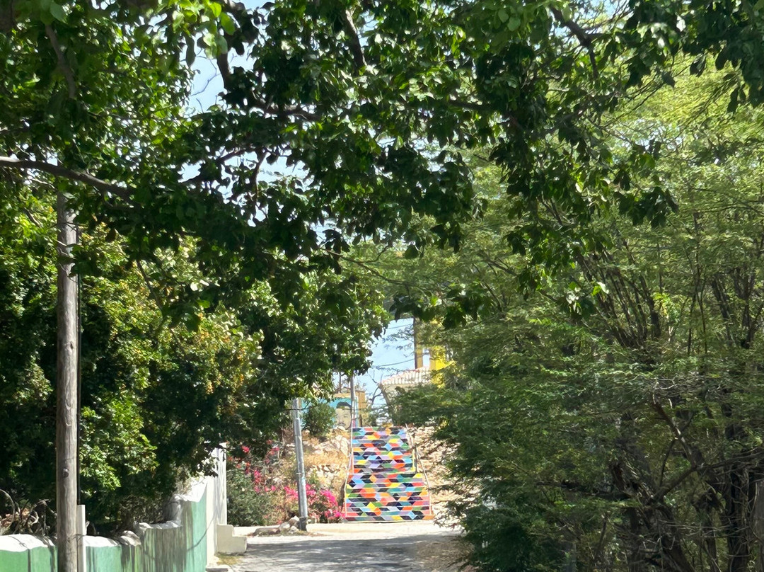 Curaçao Fascinating Tours-威廉斯塔德必去景点