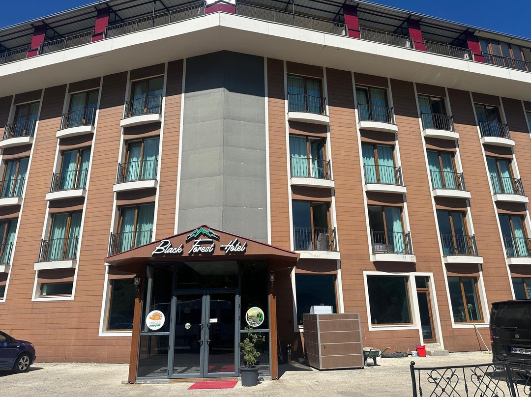 Black Forest Hotel Şavşat主图