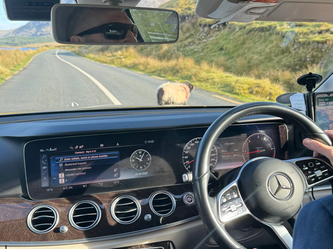 Irish Transfer-利默里克必去景点