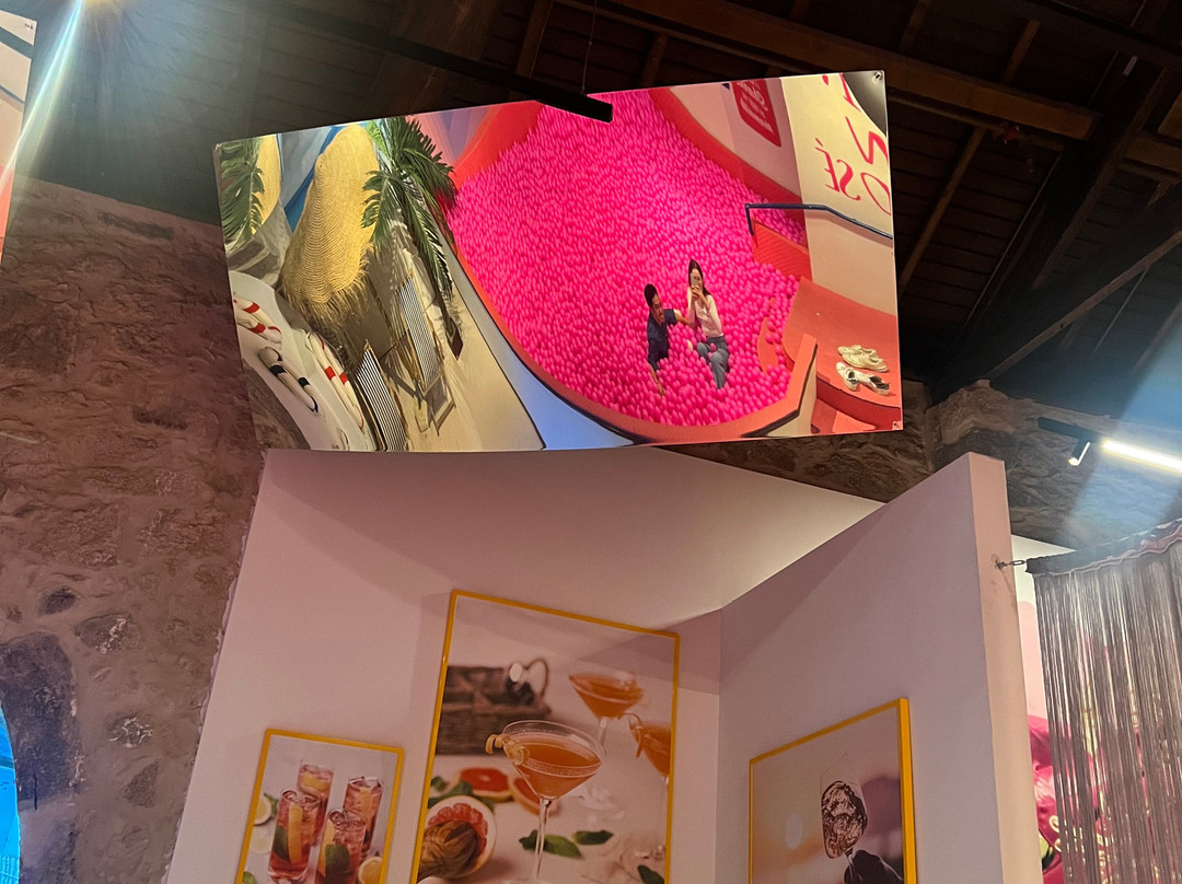 Pink Palace Museum-加亚新城必去景点