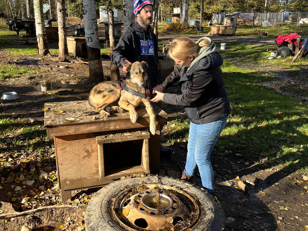 The Alaska Dogstead Mushing Company-Big Lake必去景点