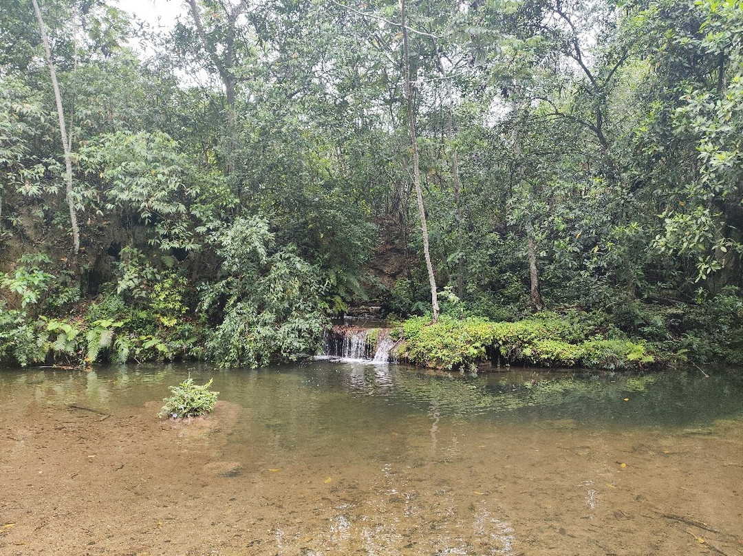 Parque das Cachoeiras-博尼图必去景点