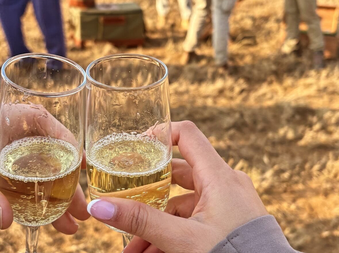 East Safari Tours-阿鲁沙必去景点