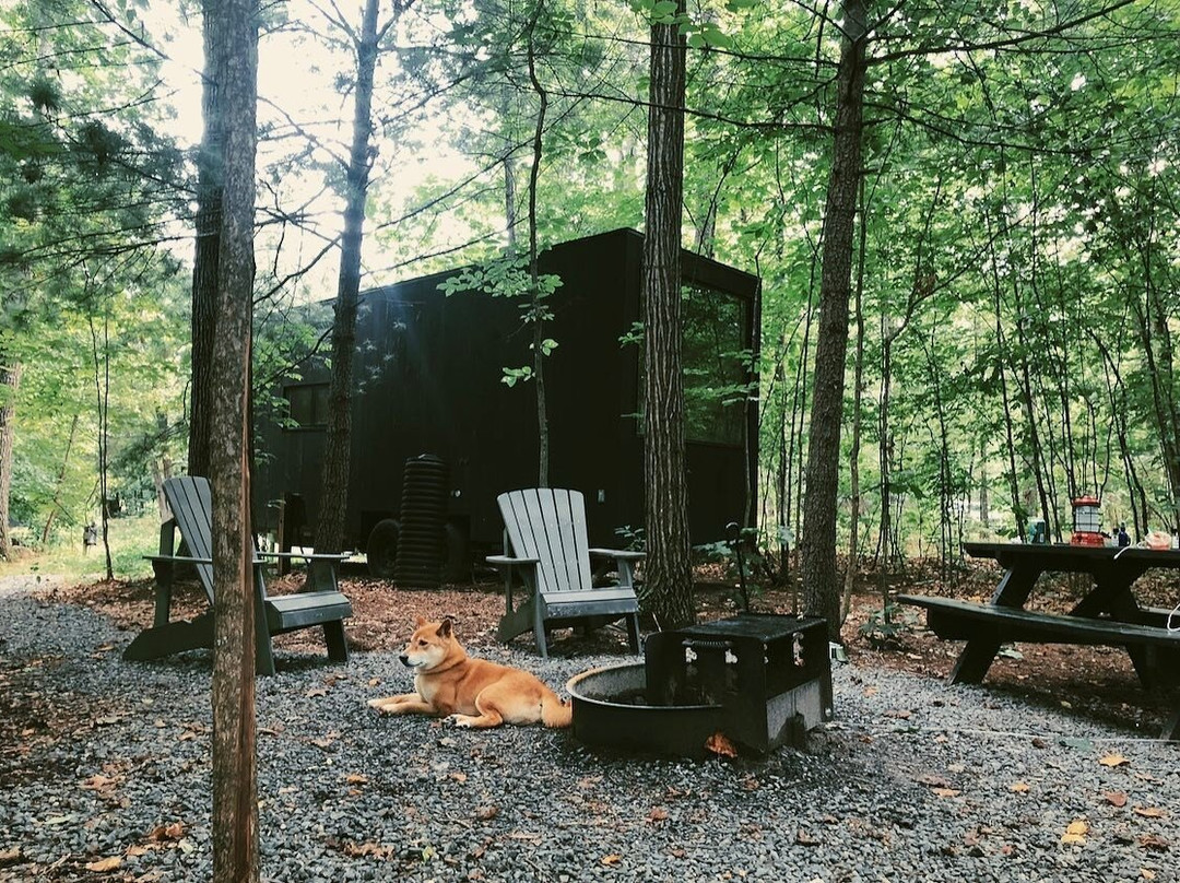 Postcard Cabins Shenandoah, Outdoor Collection by Marriott Bonvoy