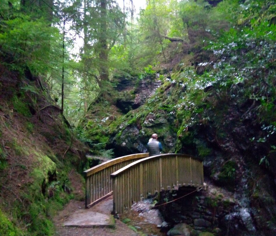 Puck's Glen-Benmore必去景点