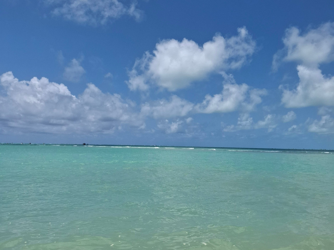 Caribe Maragogi-Maragogi必去景点