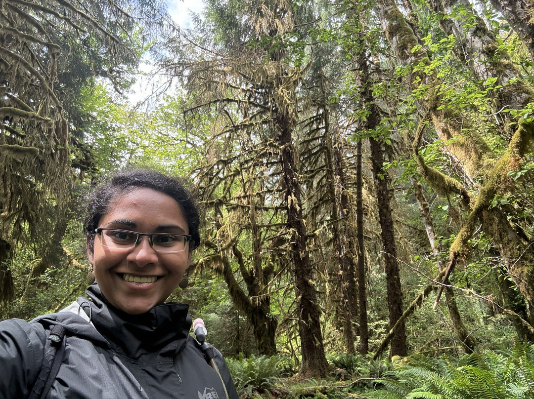 赫温带雨林-奥林匹克国家公园必去景点