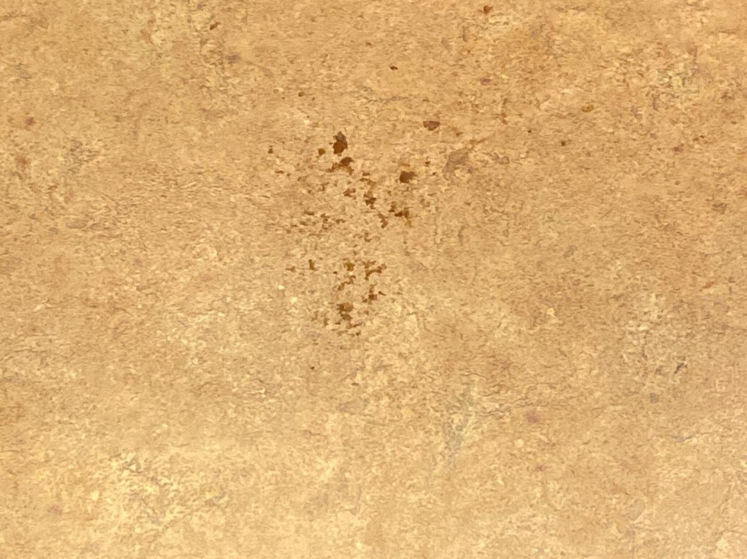 Red Roof Inn Fairmont主图