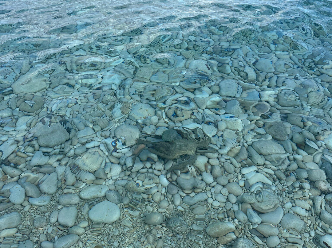 Kipiadi Beach-Koutsi必去景点