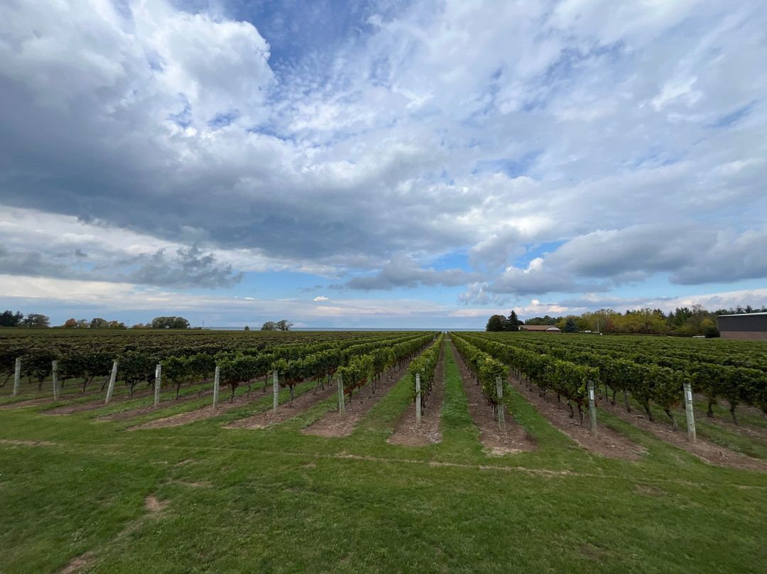 Konzelmann Estate Winery-滨湖尼亚加拉必去景点