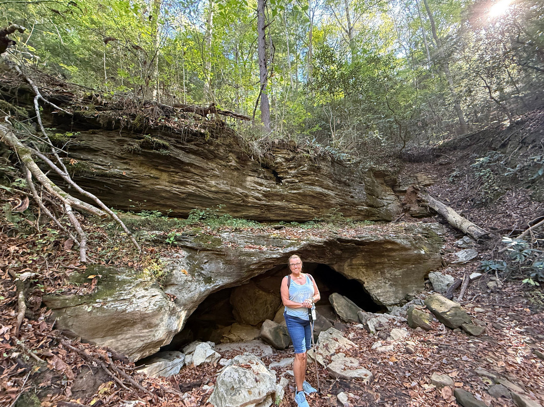 Carter Caves State Resort Park-Olive Hill必去景点