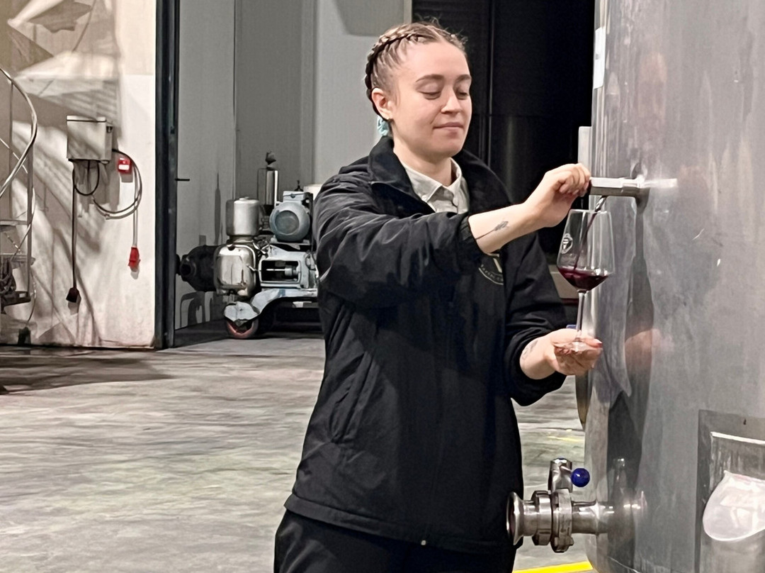 Bodegas Volver-Pinoso必去景点