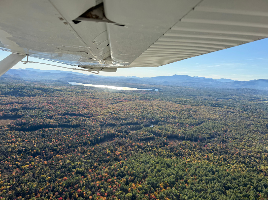 Naples Seaplane Adventures-Naples必去景点