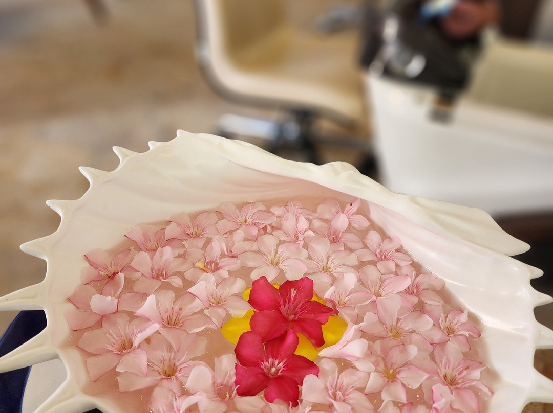 Ixora Spa - Scrub Island, BVI-Scrub Island必去景点