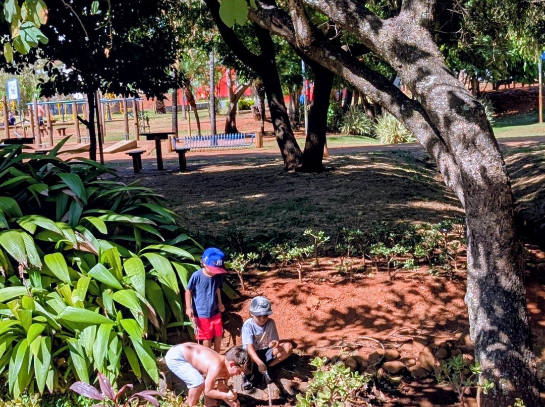 Parque Ambiental Ipiranga-Anapolis必去景点