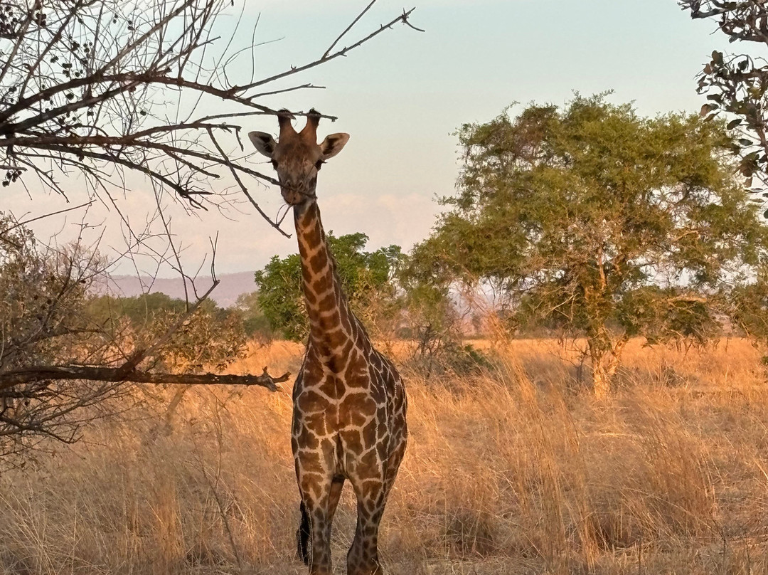 CONNECT AFRICAN SAFARIS-Dar es Salaam必去景点